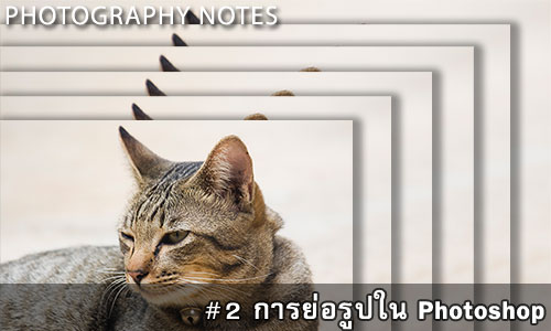 Photography-Notes-Banner-2